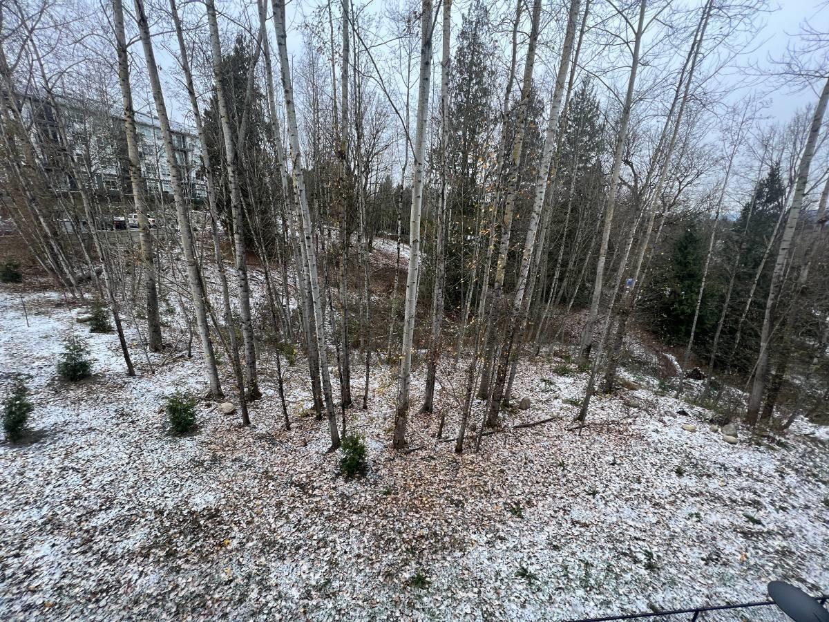 311 3182 Gladwin Rd, Abbotsford, British Columbia  V2T 0K8 - Photo 15 - R3072293