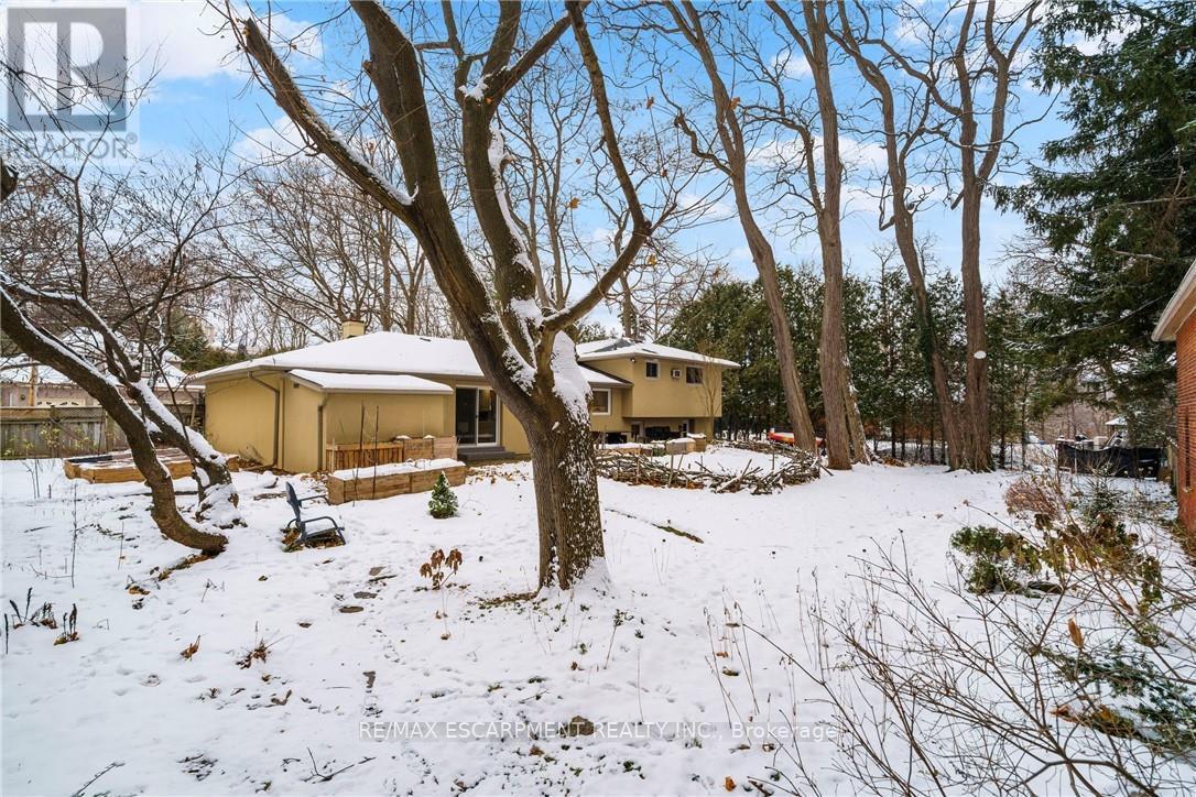 3 Hatfield Place, Hamilton, Ontario  L9H 4J7 - Photo 41 - X12598822