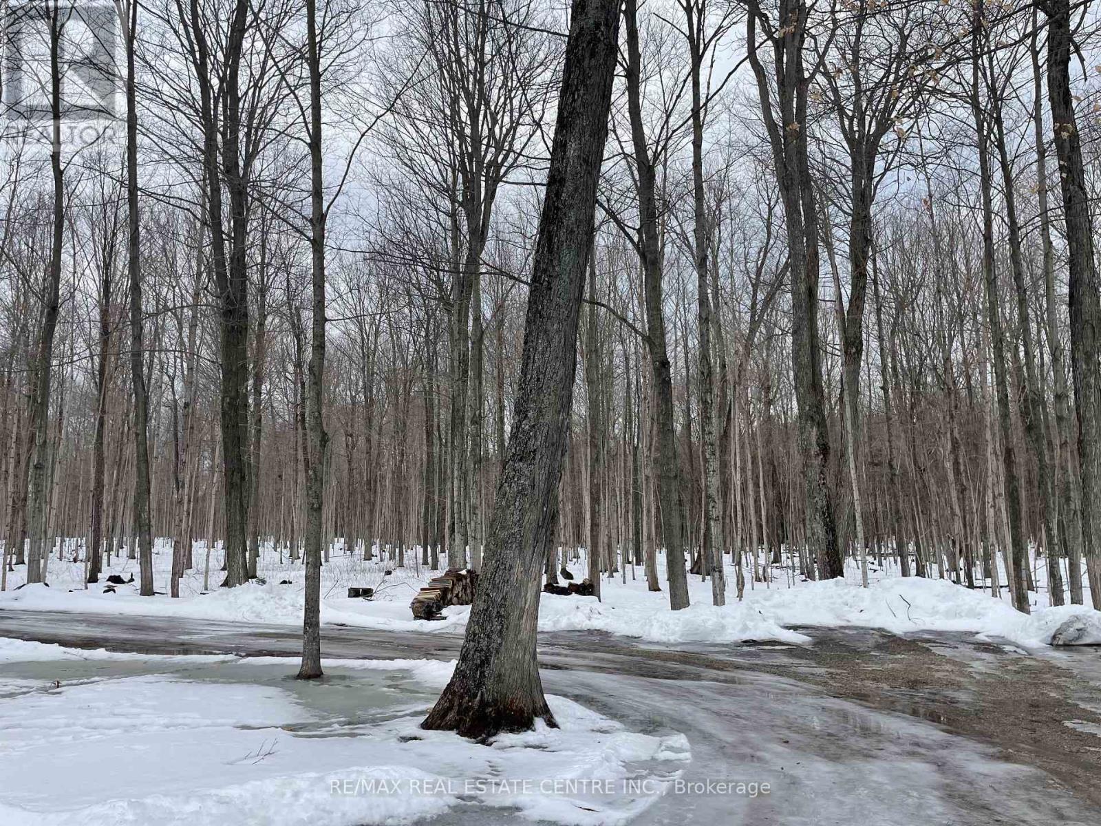 516243 County Road 124 Road, Melancthon, Ontario  L0N 1S7 - Photo 20 - X12602720