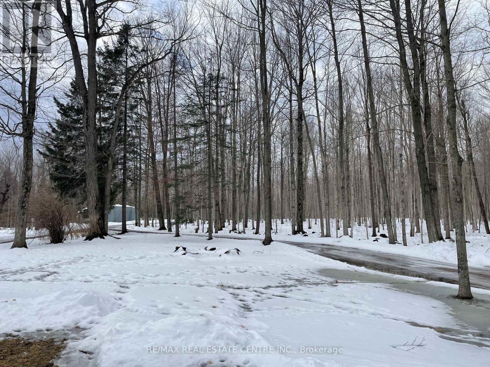 516243 County Road 124 Road, Melancthon, Ontario  L0N 1S7 - Photo 21 - X12602720