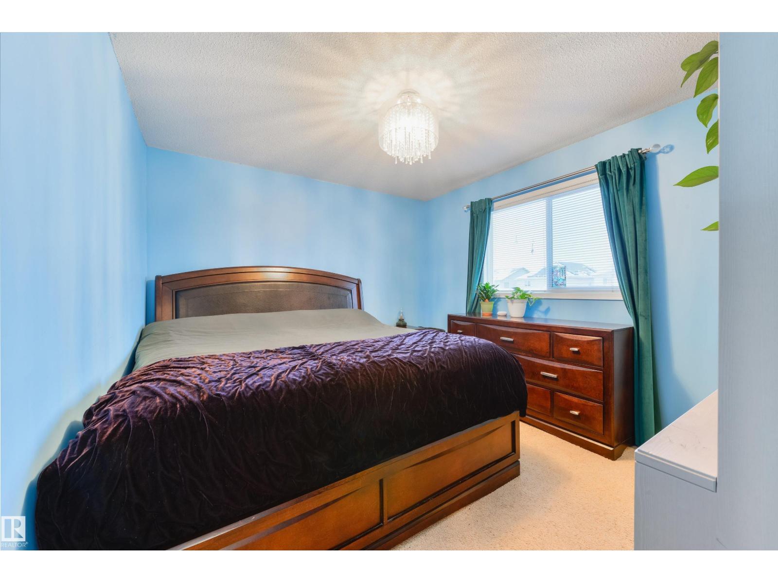 346 Secord Bv Nw, Edmonton, Alberta  T5T 5X9 - Photo 19 - E4467456