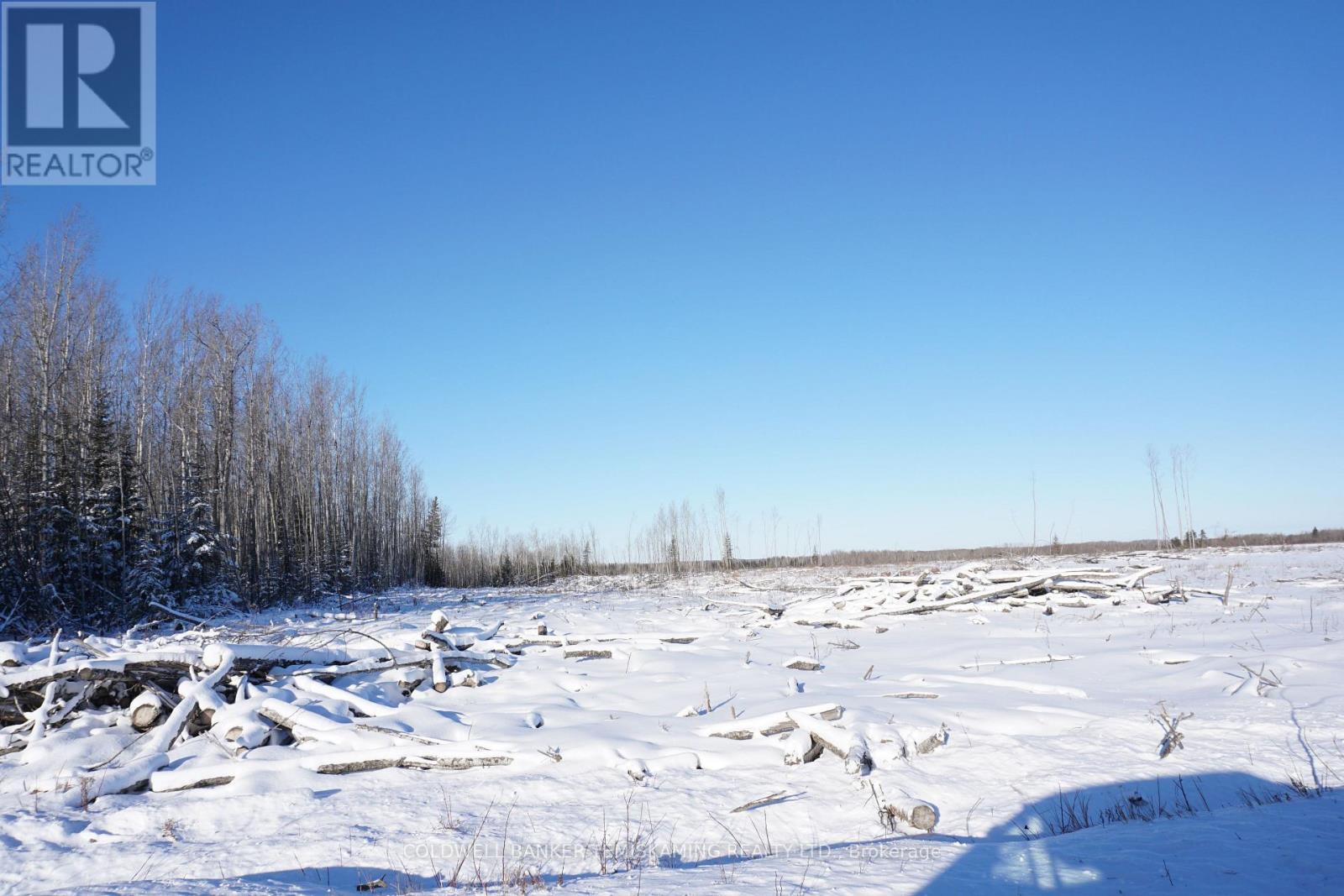 208181 Cabin Road, Englehart, Ontario  P0J 1B0 - Photo 4 - T12594244