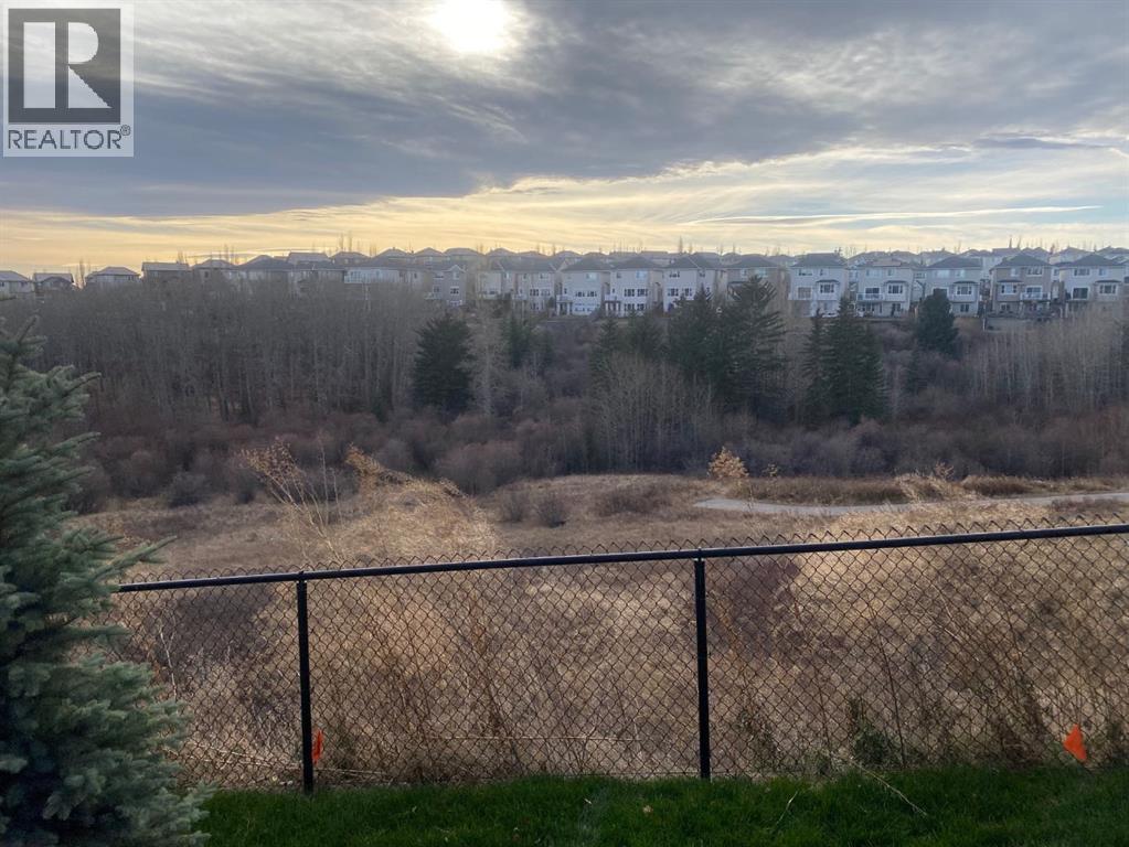 31 Royal Birch Cove Nw, Calgary, Alberta  T3G 5P9 - Photo 25 - A2270196