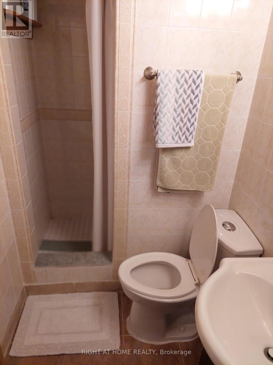 (Lower Level) - 15 Lynnhaven Road, Toronto, Ontario  M6A 2K7 - Photo 5 - C12602982