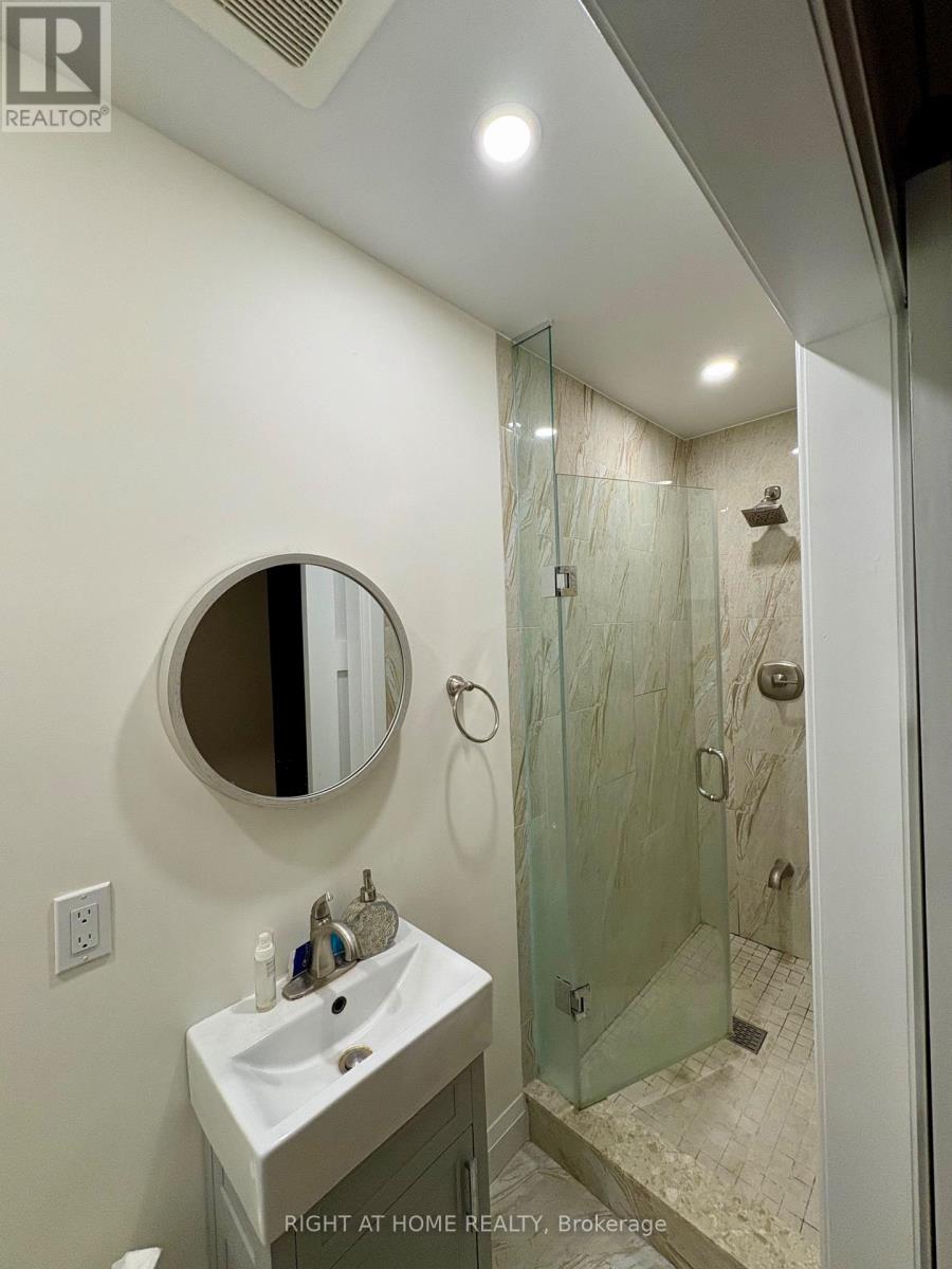 193 Roywood Drive, Toronto, Ontario  M3A 2E5 - Photo 15 - C12603022