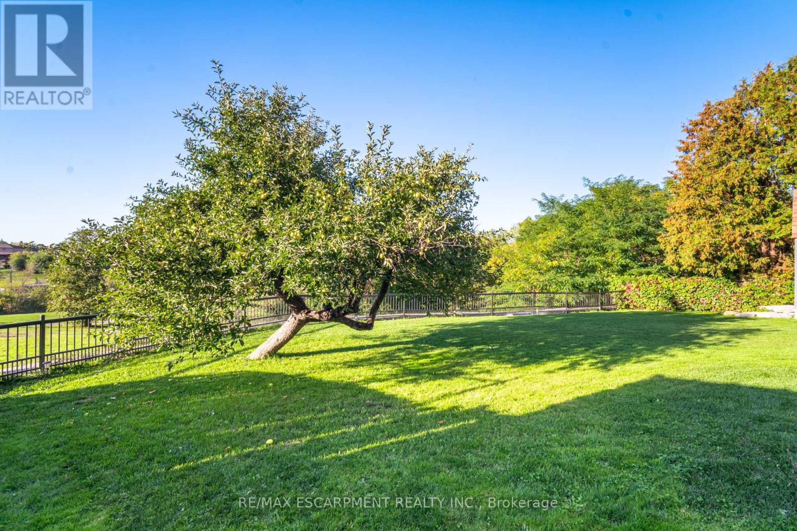 154 Rainbow Drive, Vaughan, Ontario  L4L 2K7 - Photo 37 - N12603010