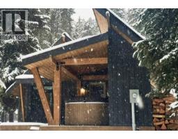 1166 APEX MOUNTAIN Road Penticton Apex