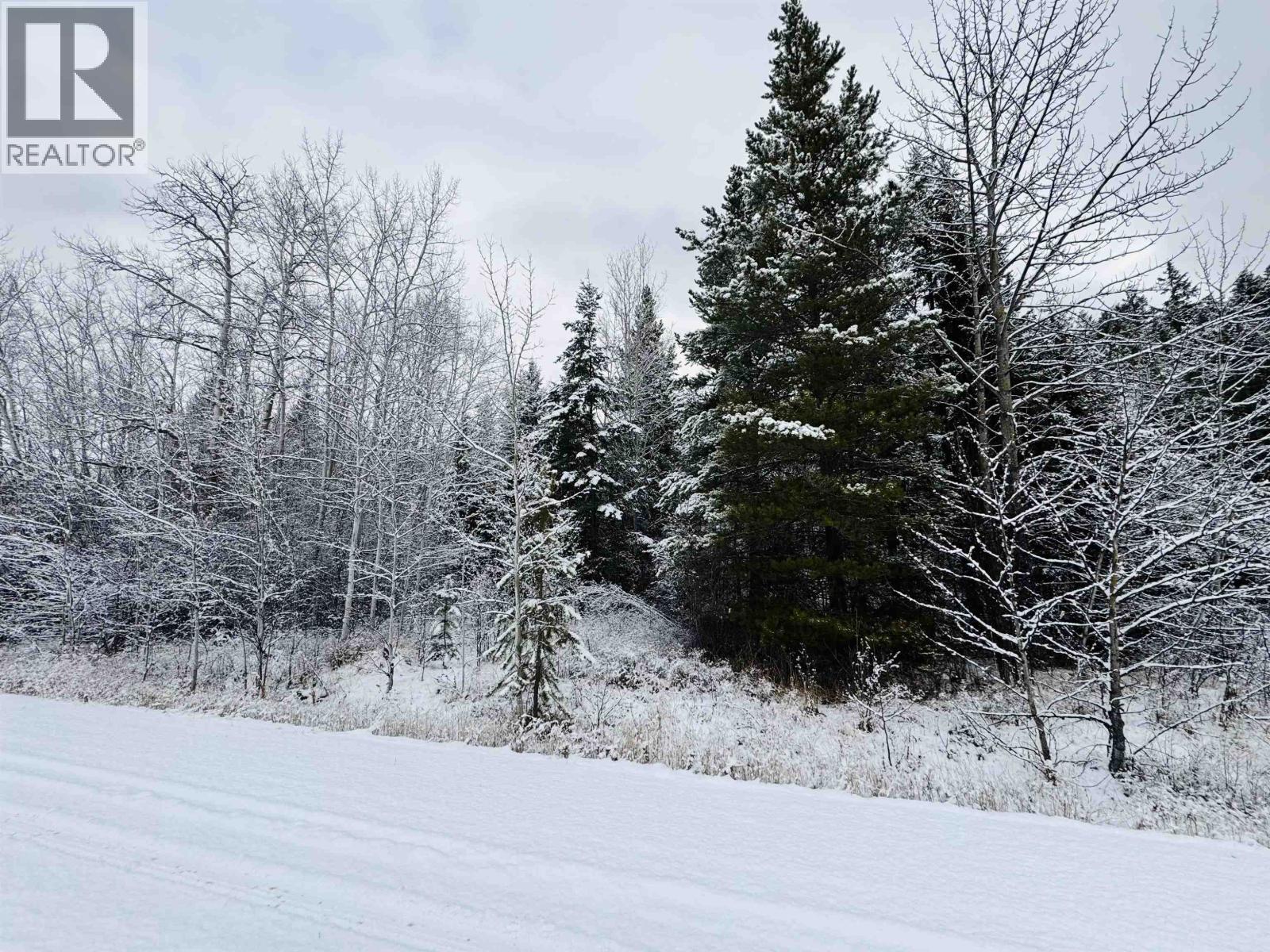 Valemount Vacant Land for sale:    (Listed 2025-12-01)