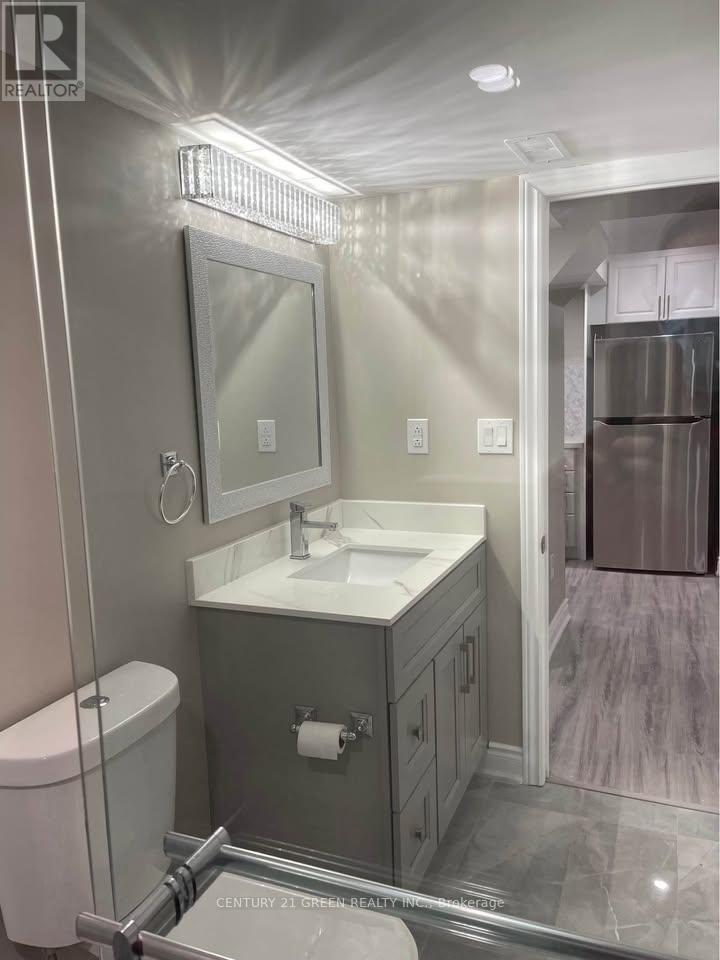 Basement - 1313 Raspberry Terrace, Milton, Ontario  L9T 7K6 - Photo 11 - W12603032