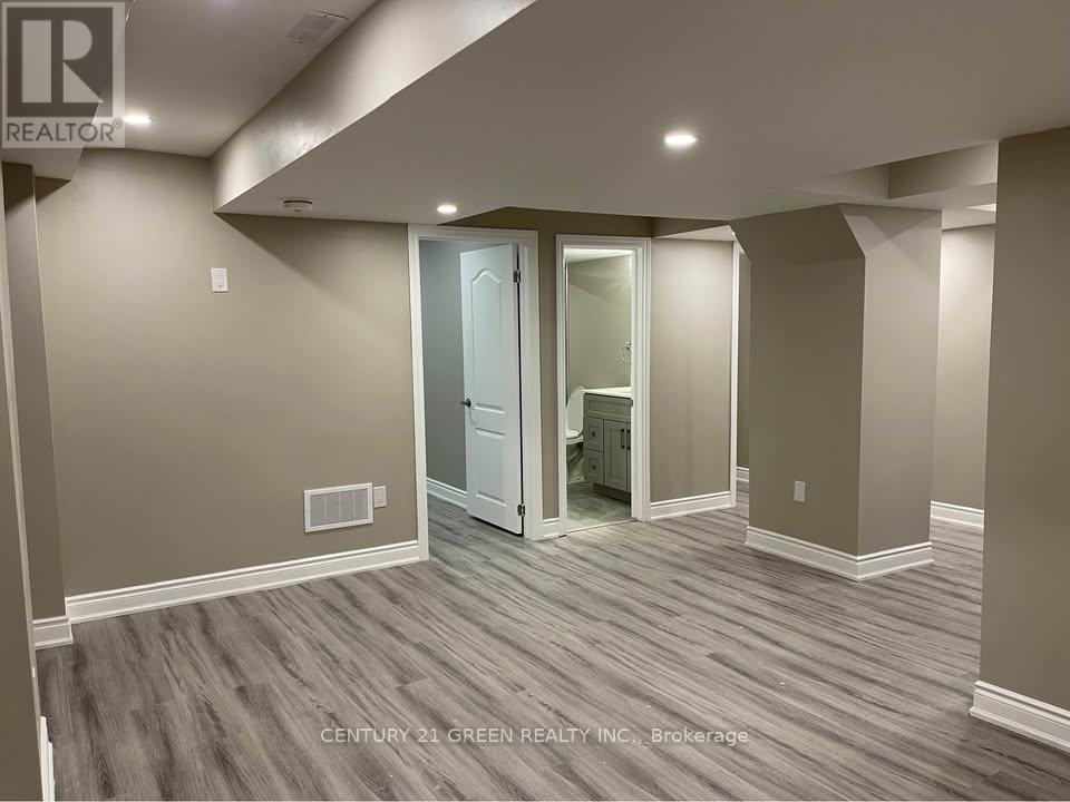 Basement - 1313 Raspberry Terrace, Milton, Ontario  L9T 7K6 - Photo 4 - W12603032