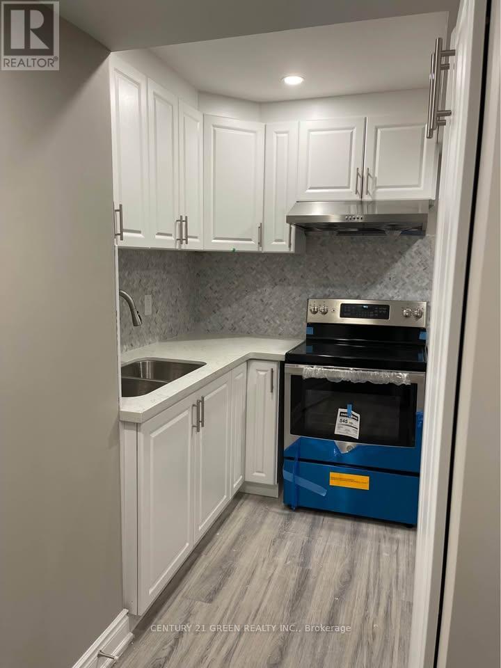 Basement - 1313 Raspberry Terrace, Milton, Ontario  L9T 7K6 - Photo 9 - W12603032