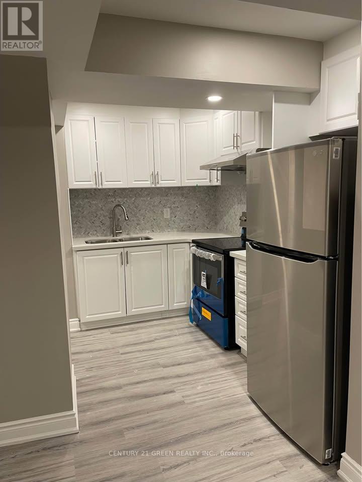 Basement - 1313 Raspberry Terrace, Milton, Ontario  L9T 7K6 - Photo 7 - W12603032