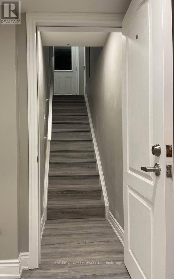 Basement - 1313 Raspberry Terrace, Milton, Ontario  L9T 7K6 - Photo 3 - W12603032