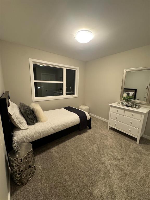 21 Red Pine Drive, West St Paul, Manitoba  R4A 0E7 - Photo 19 - 202527926