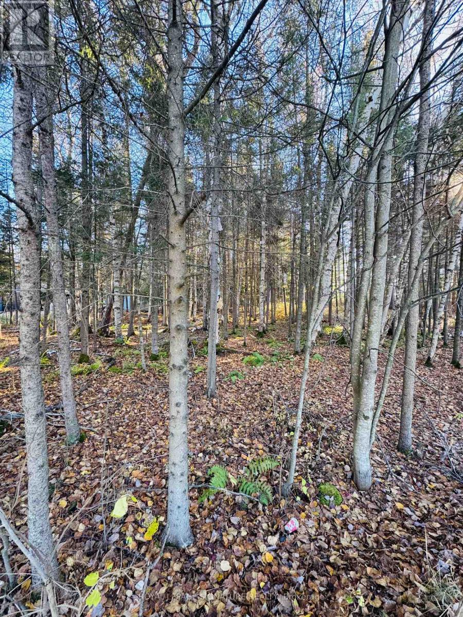 1325 Lakeshore Drive, North Bay, Ontario  P1B 8Z4 - Photo 2 - X12603142