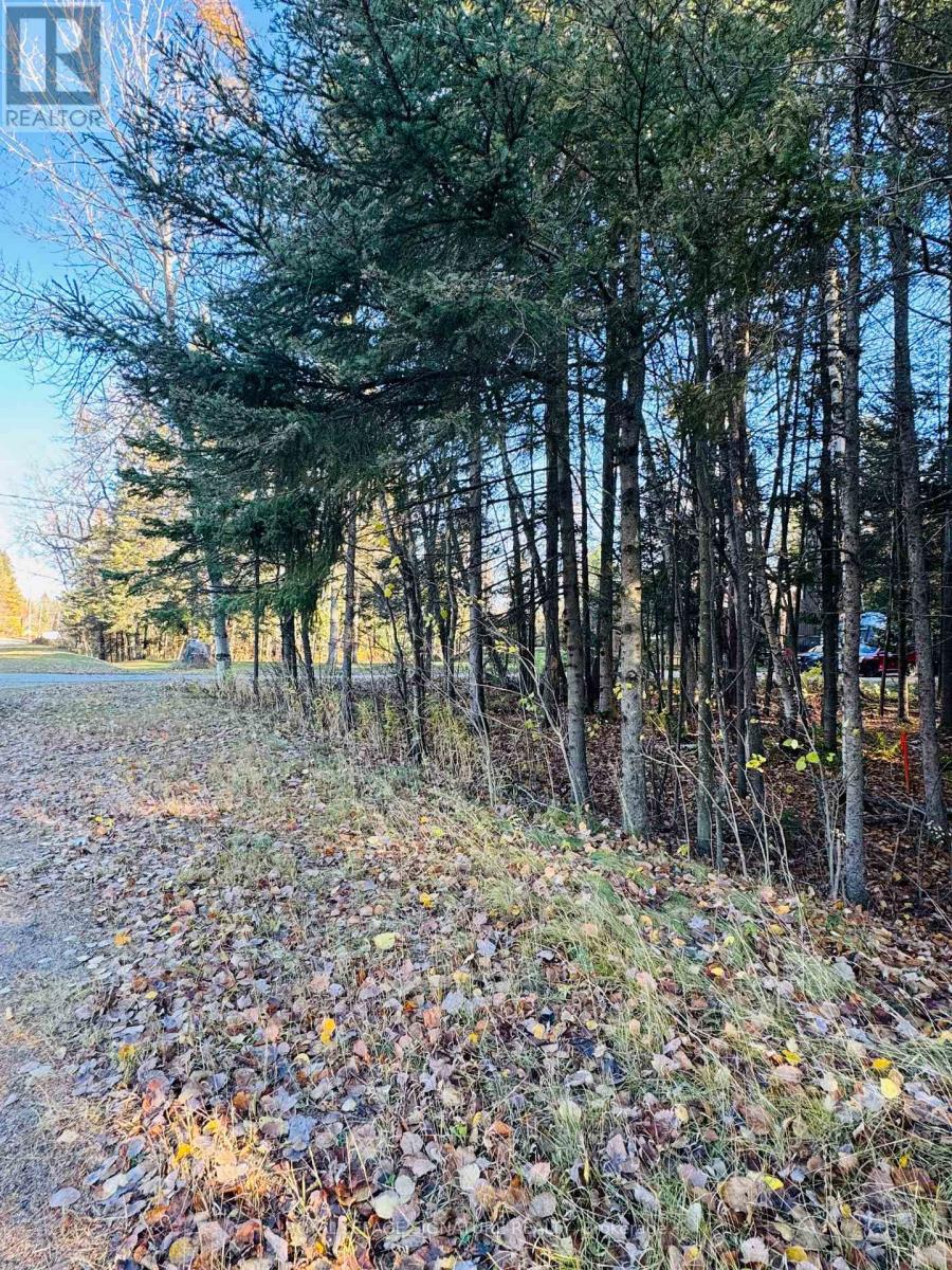 1325 Lakeshore Drive, North Bay, Ontario  P1B 8Z4 - Photo 3 - X12603142