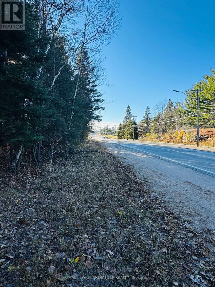 1325 Lakeshore Drive, North Bay, Ontario  P1B 8Z4 - Photo 5 - X12603142