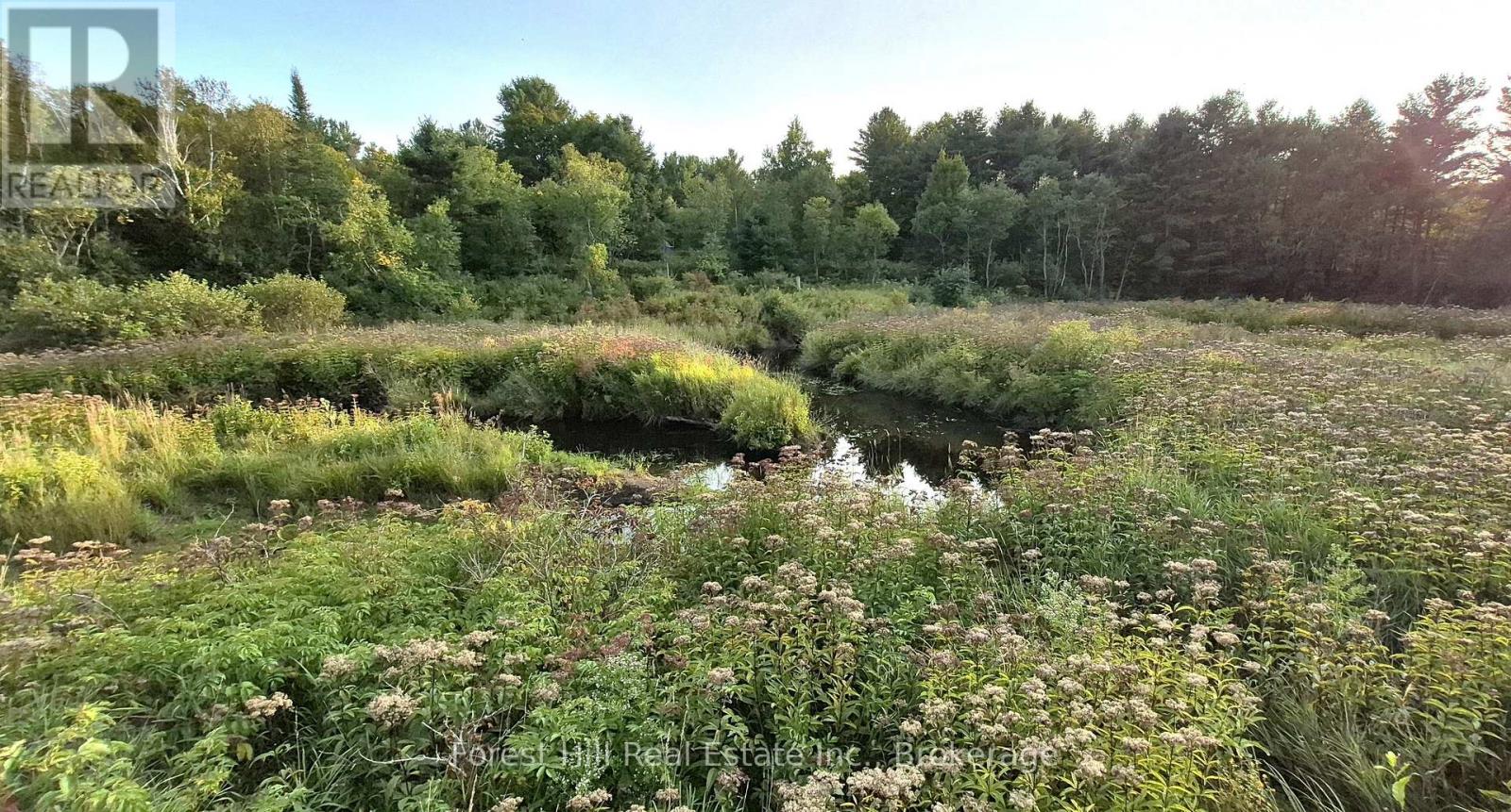 77 James Bay Junction Road S, Seguin, Ontario  P2A 0B2 - Photo 4 - X12453718