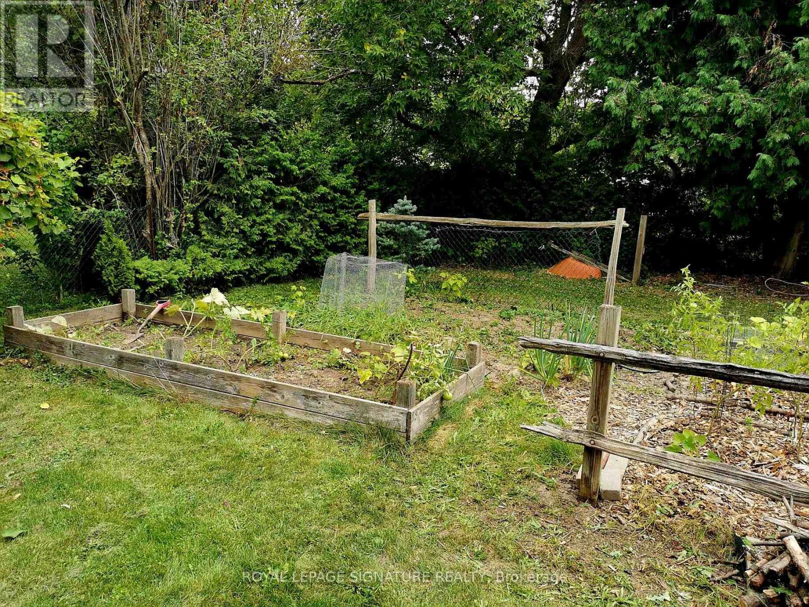 169 Norfolk Avenue, Richmond Hill, Ontario L4C 2C7 - Photo 37 - N12602312