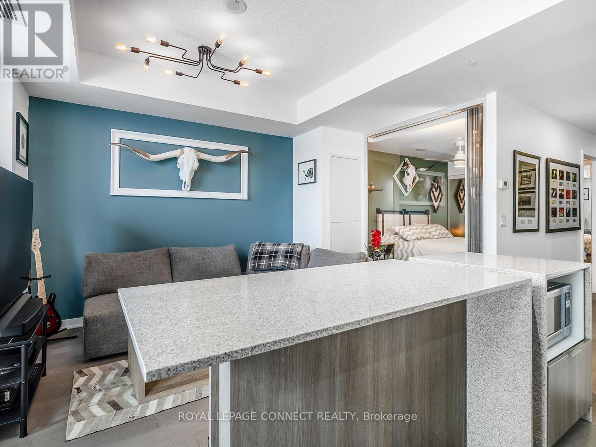 518 - 170 Sumach Street, Toronto, Ontario  M5A 0C3 - Photo 14 - C12603210