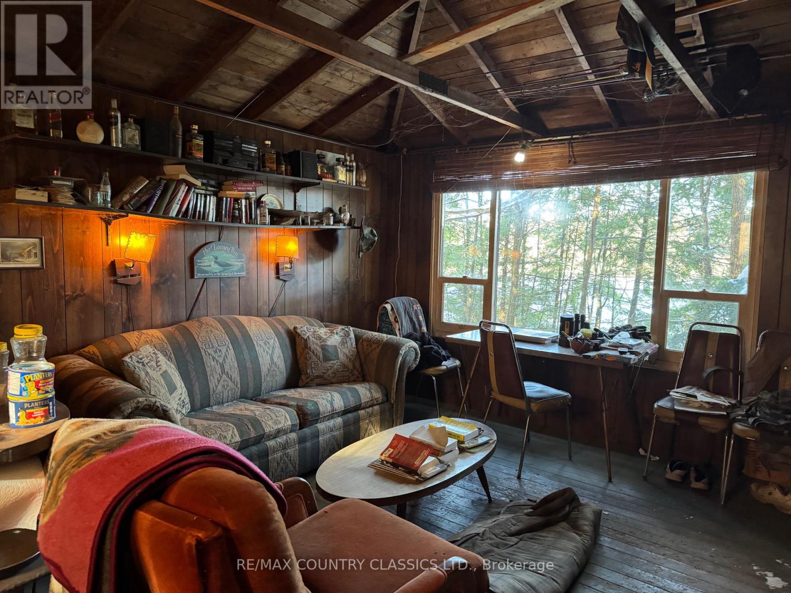 34 Kingfisher Lane, North Kawartha, Ontario K0L 1A0 - Photo 10 - X12594374