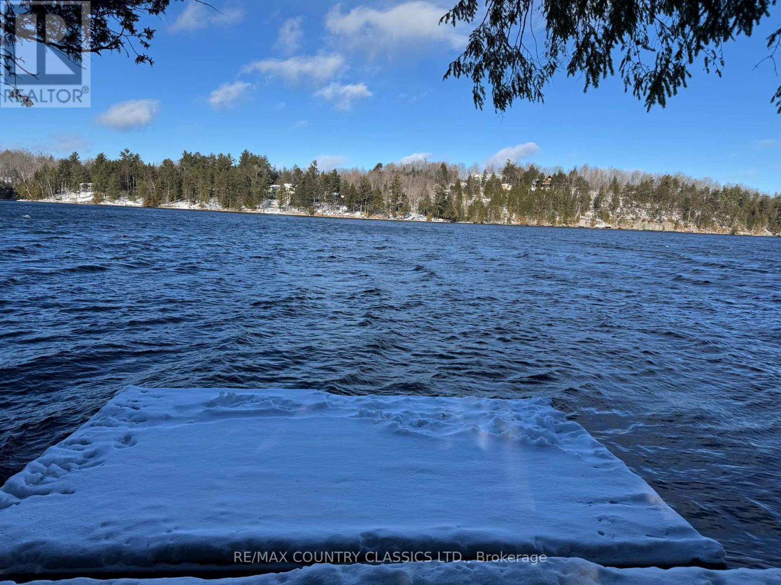 34 Kingfisher Lane, North Kawartha, Ontario K0L 1A0 - Photo 16 - X12594374