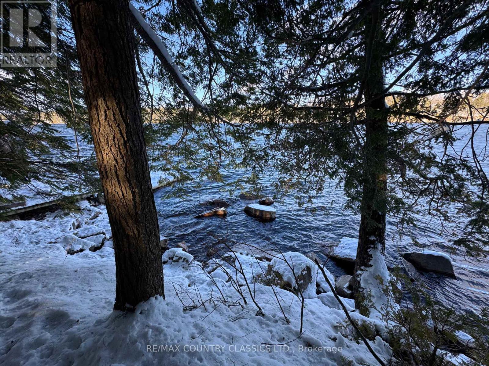 34 Kingfisher Lane, North Kawartha, Ontario K0L 1A0 - Photo 24 - X12594374