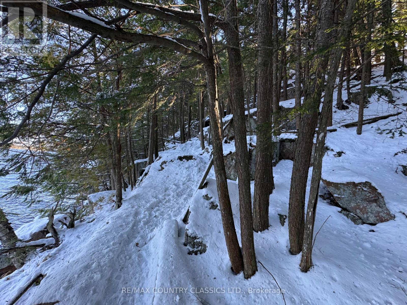 34 Kingfisher Lane, North Kawartha, Ontario K0L 1A0 - Photo 25 - X12594374