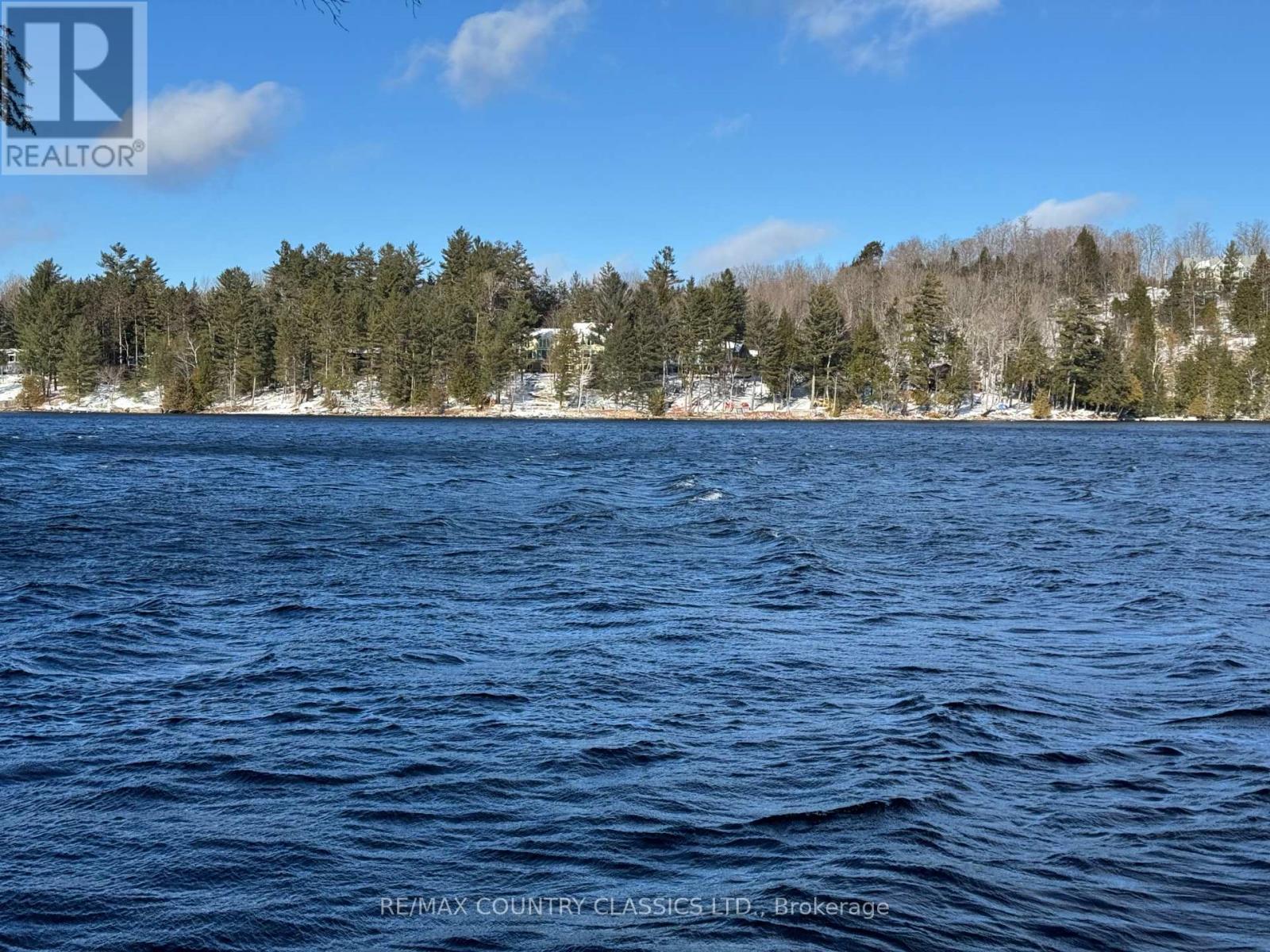 34 Kingfisher Lane, North Kawartha, Ontario K0L 1A0 - Photo 20 - X12594374