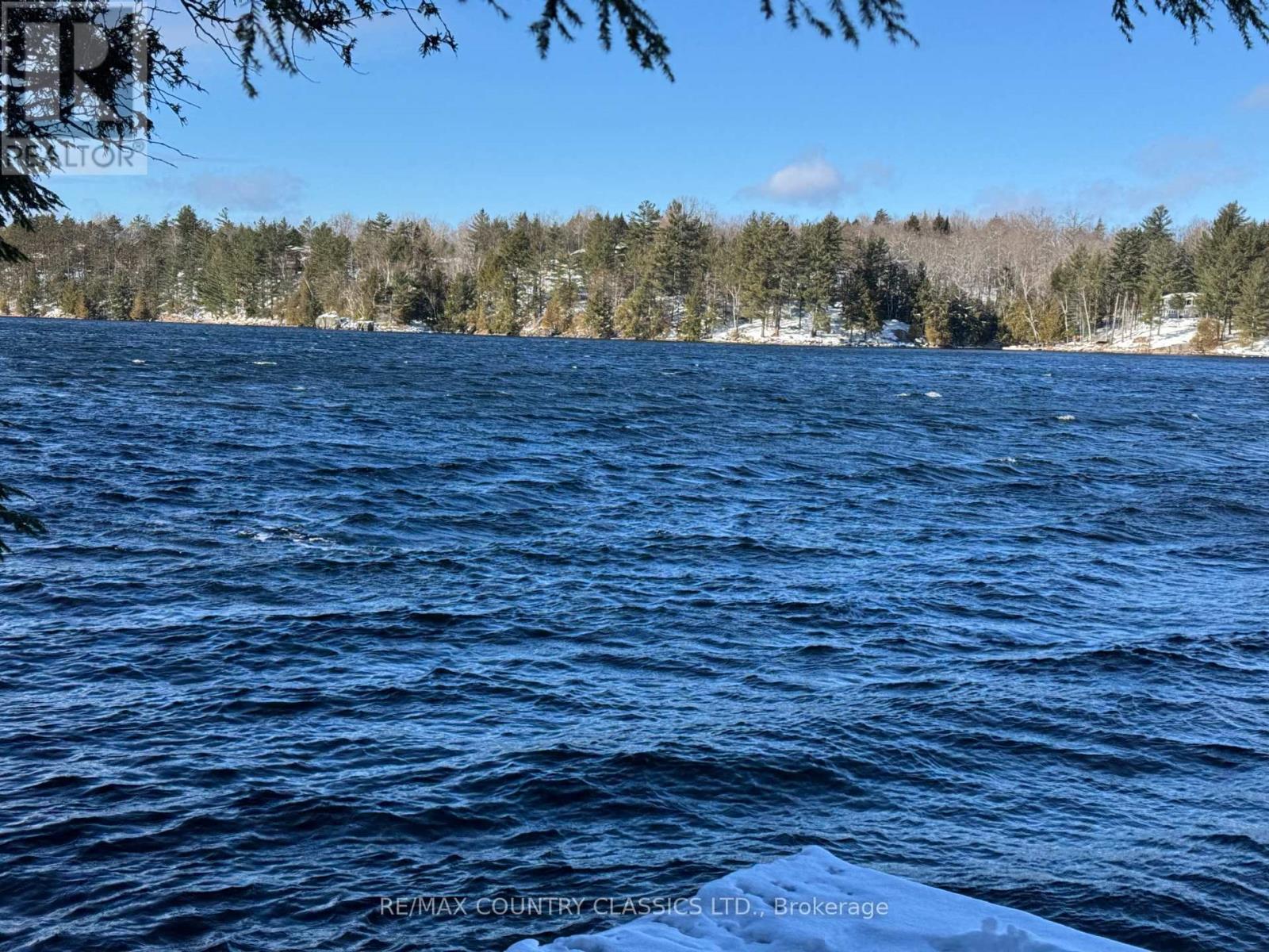 34 Kingfisher Lane, North Kawartha, Ontario K0L 1A0 - Photo 21 - X12594374