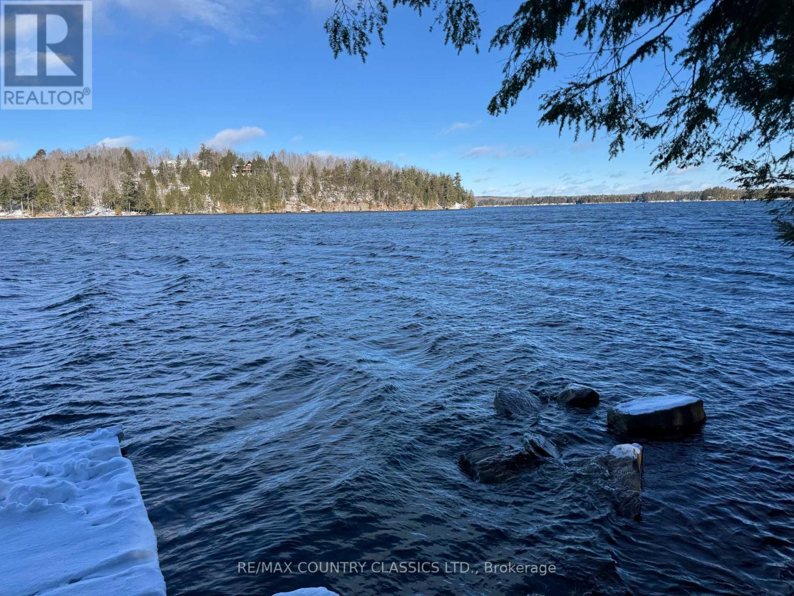 34 Kingfisher Lane, North Kawartha, Ontario K0L 1A0 - Photo 19 - X12594374