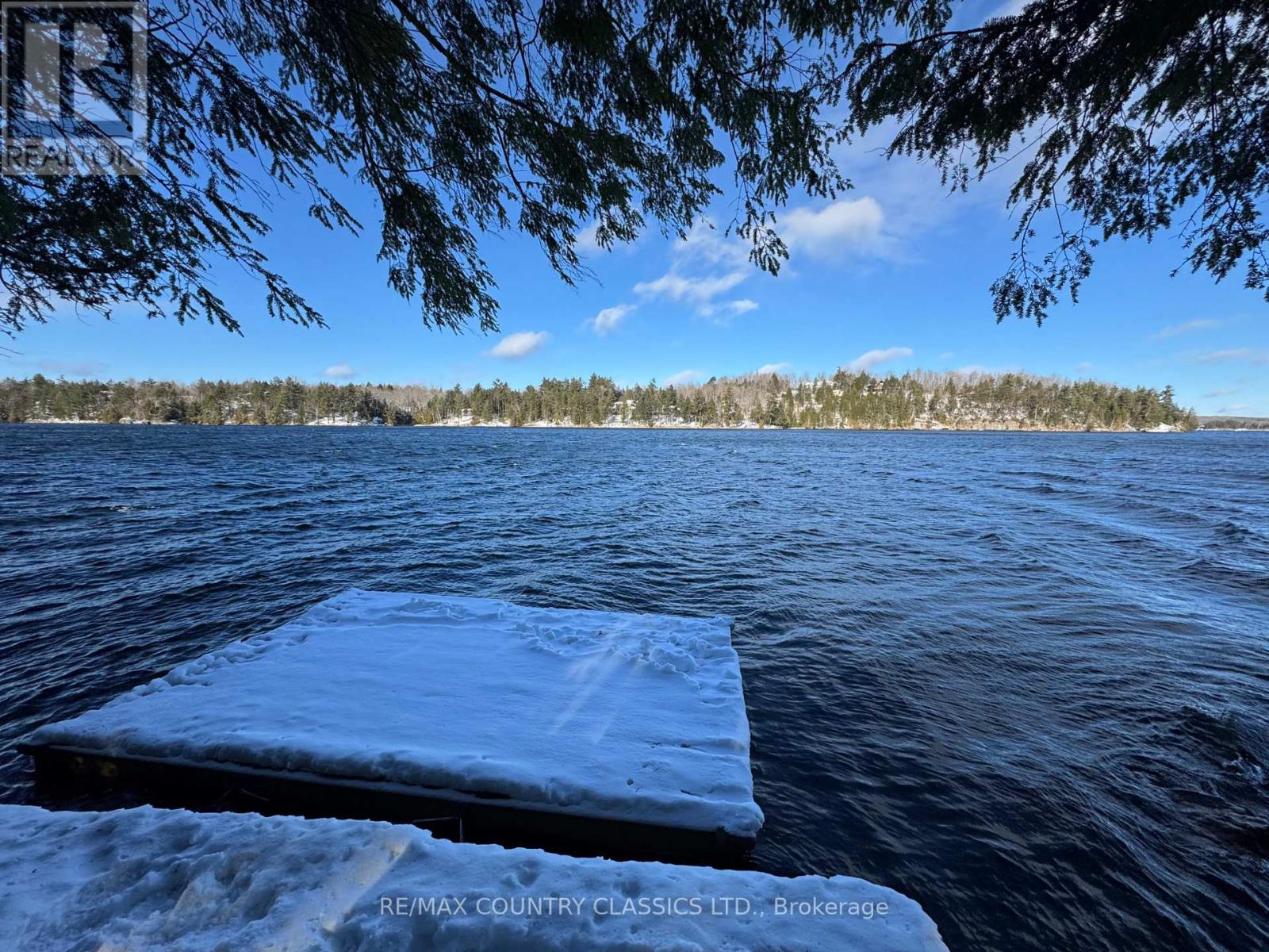 34 Kingfisher Lane, North Kawartha, Ontario K0L 1A0 - Photo 22 - X12594374