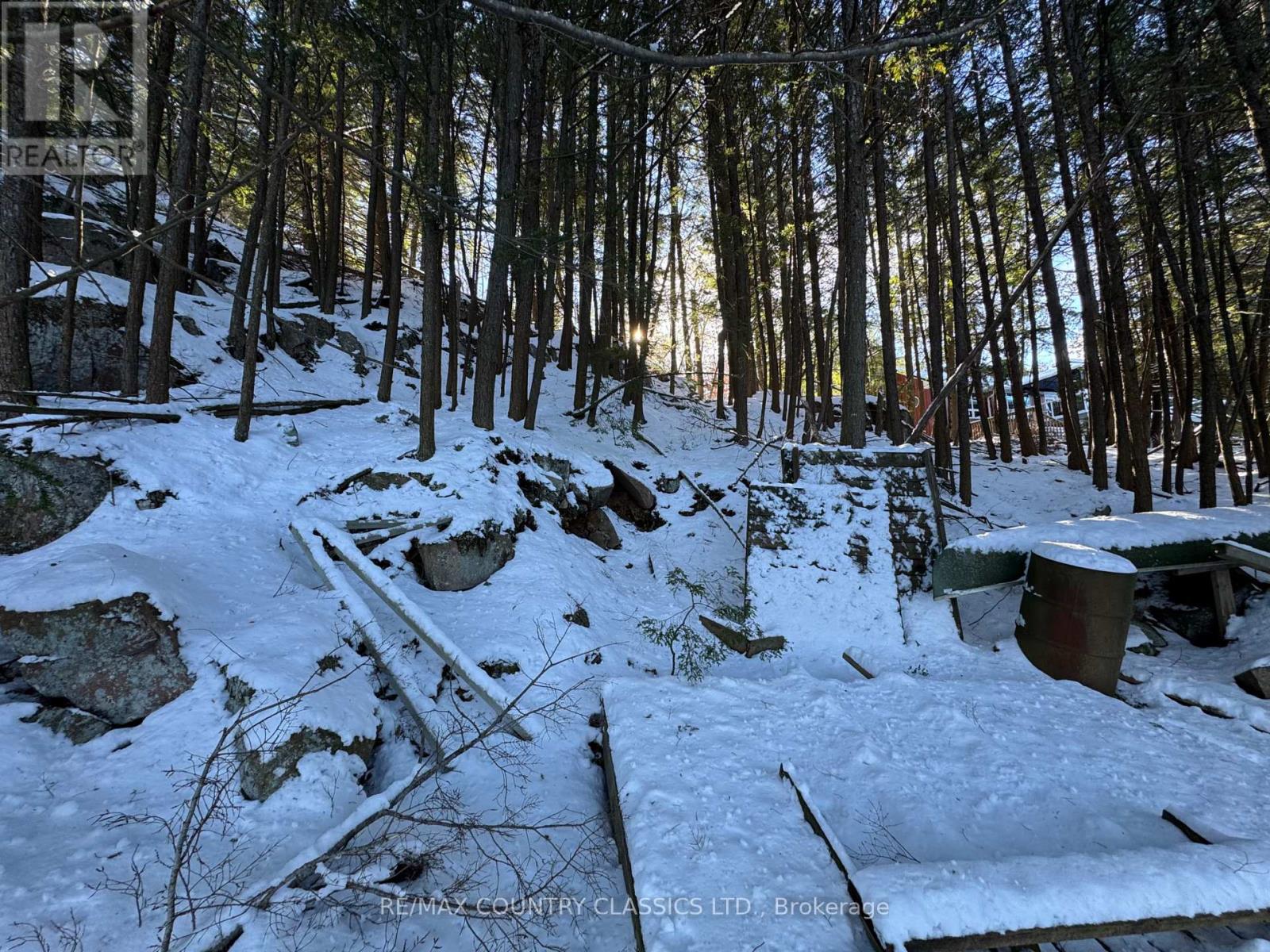 34 Kingfisher Lane, North Kawartha, Ontario K0L 1A0 - Photo 26 - X12594374