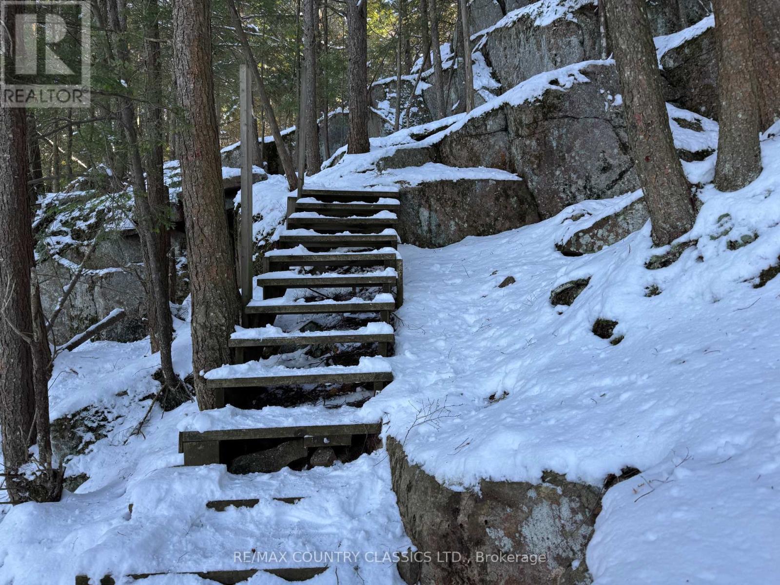 34 Kingfisher Lane, North Kawartha, Ontario K0L 1A0 - Photo 28 - X12594374