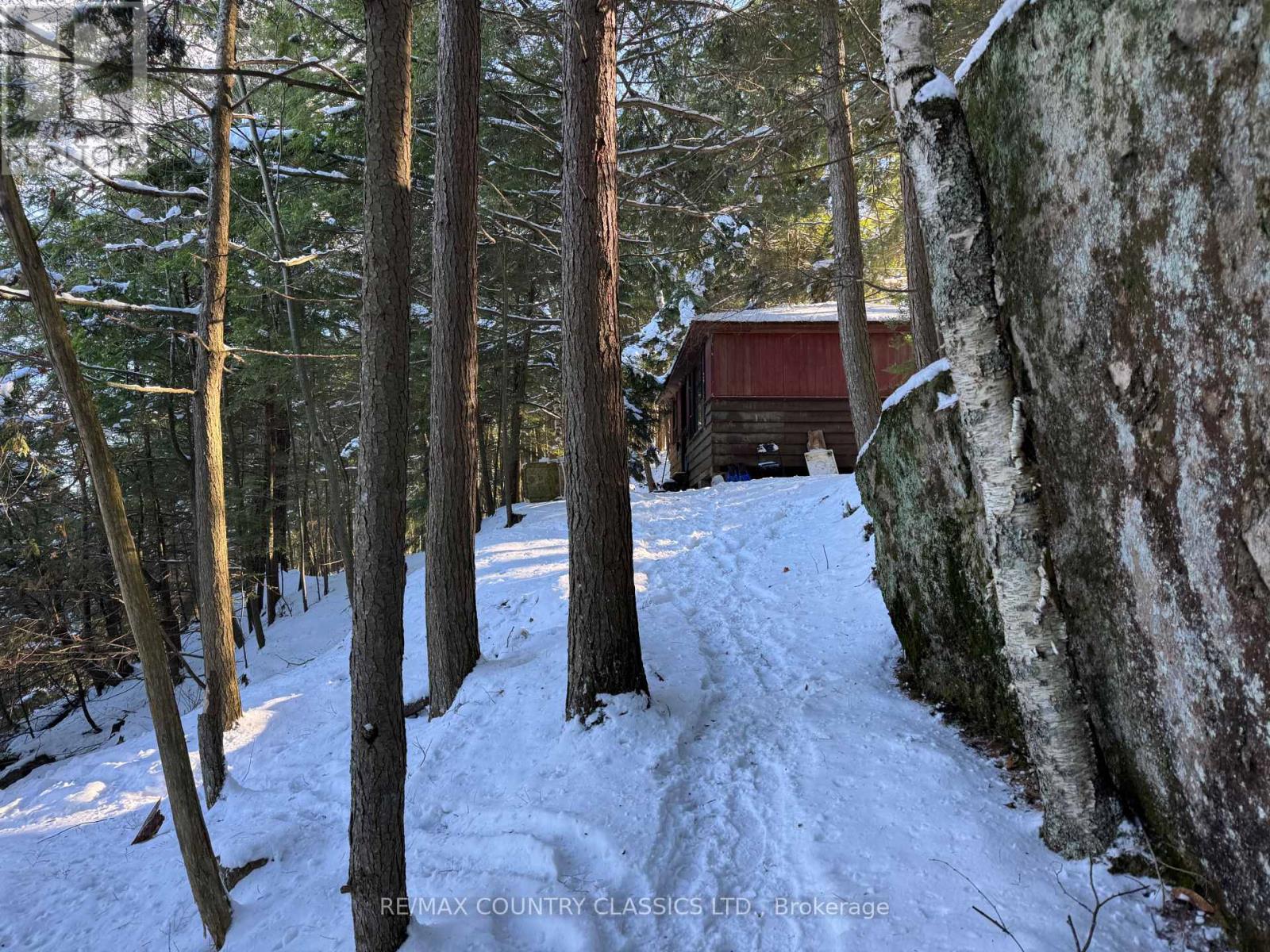 34 Kingfisher Lane, North Kawartha, Ontario K0L 1A0 - Photo 29 - X12594374