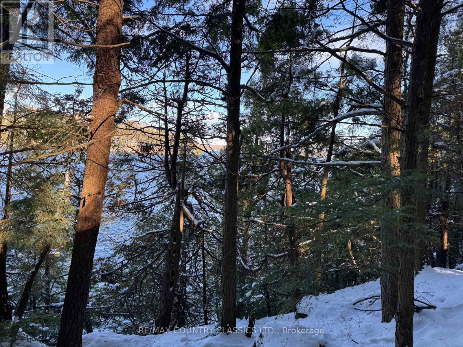 34 Kingfisher Lane, North Kawartha, Ontario K0L 1A0 - Photo 30 - X12594374