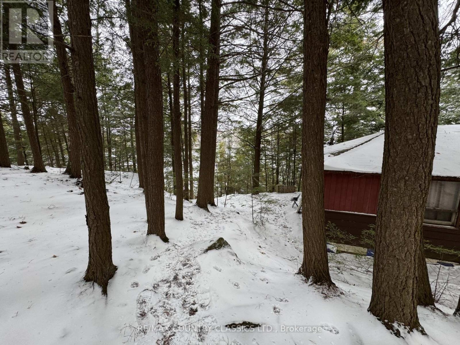 34 Kingfisher Lane, North Kawartha, Ontario K0L 1A0 - Photo 5 - X12594374