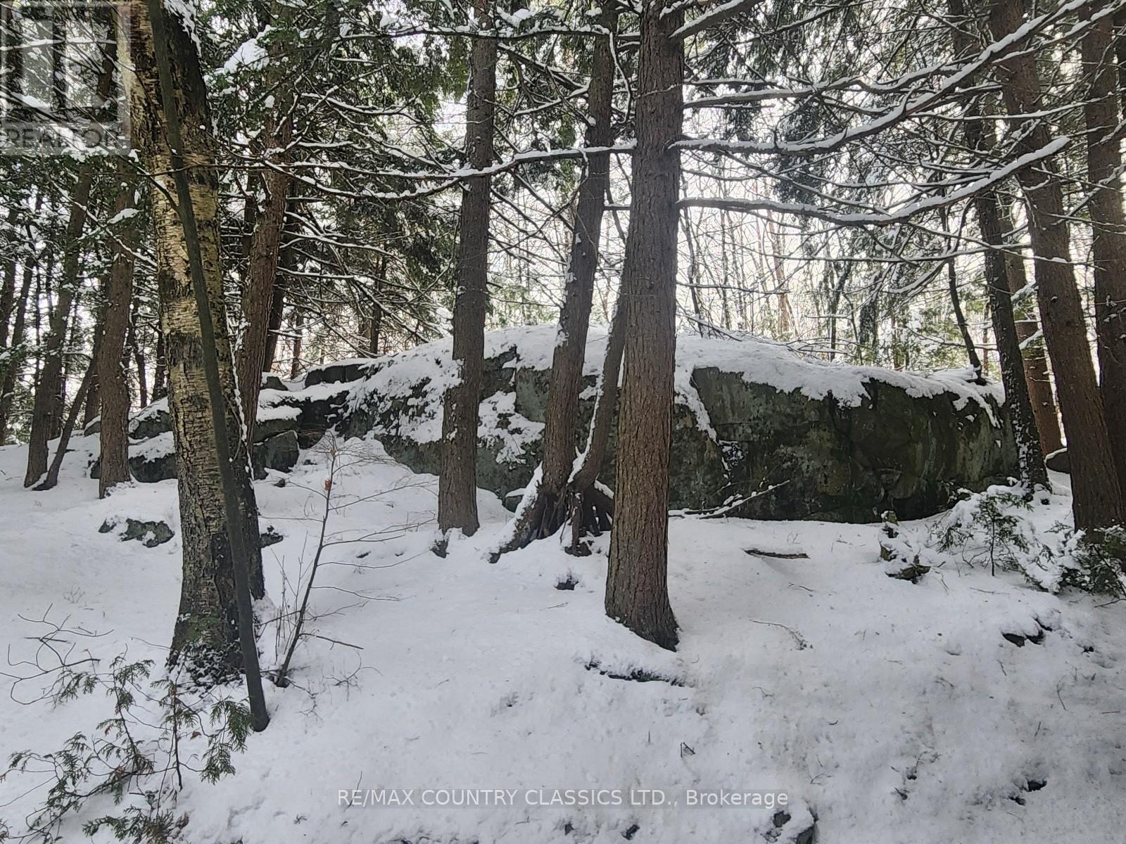 34 Kingfisher Lane, North Kawartha, Ontario K0L 1A0 - Photo 7 - X12594374