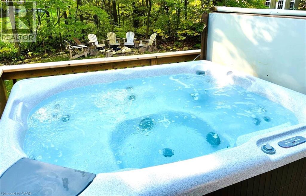 234 Canrobert Street, Eugenia, Ontario  N0C 1E0 - Photo 41 - 40792453