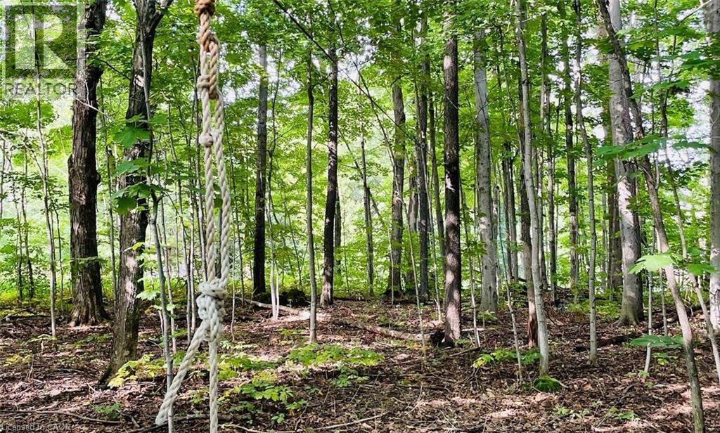 234 Canrobert Street, Eugenia, Ontario  N0C 1E0 - Photo 49 - 40792453