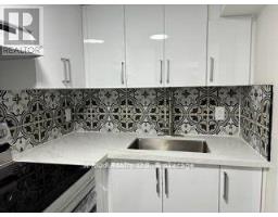 BASMENT - 376 VALLEYWAY DRIVE