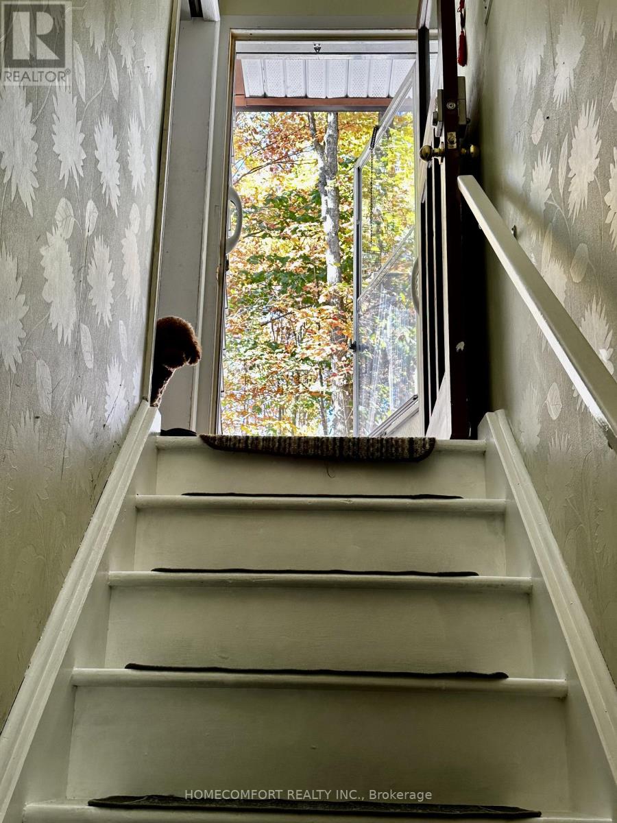 52 Meadow Park Drive, Huntsville, Ontario  P1H 1E7 - Photo 25 - X12603510