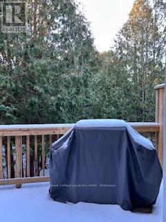 587 Oxbow Crescent, Collingwood, Ontario  L9Y 5B4 - Photo 17 - S12603660
