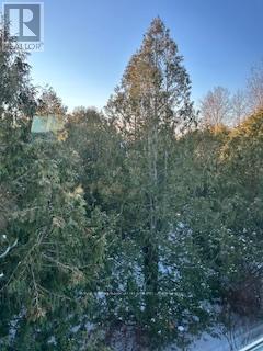 587 Oxbow Crescent, Collingwood, Ontario  L9Y 5B4 - Photo 26 - S12603660