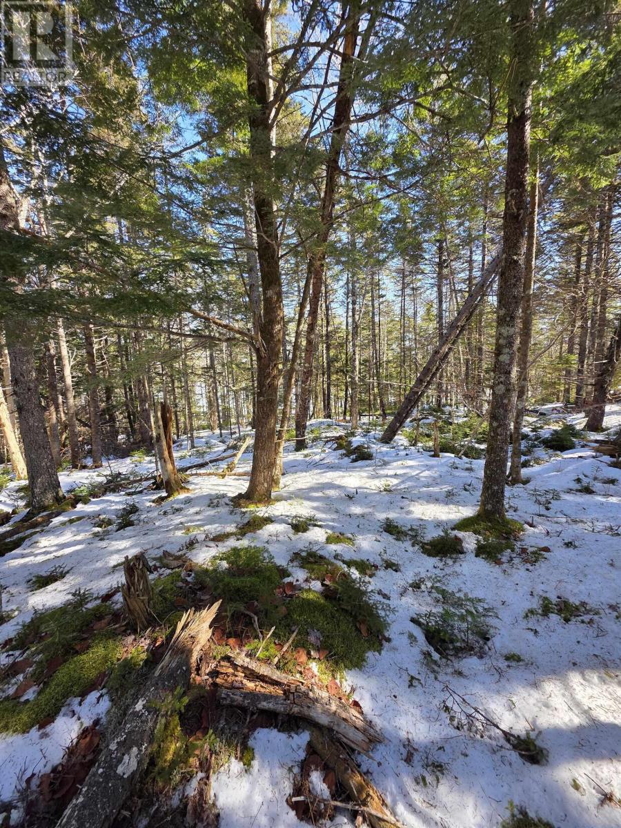 Lot 14 Island View Drive, Middlewood, Nova Scotia  B4V 6J2 - Photo 5 - 202504151