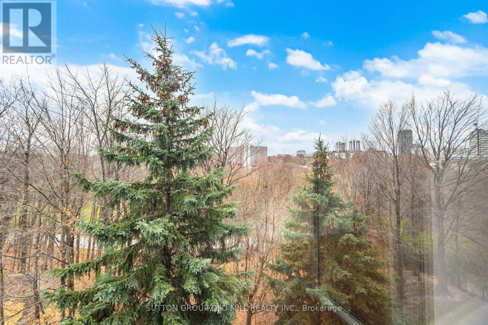 504 - 215 Wynford Drive, Toronto, Ontario  M3C 3P5 - Photo 28 - C12603692