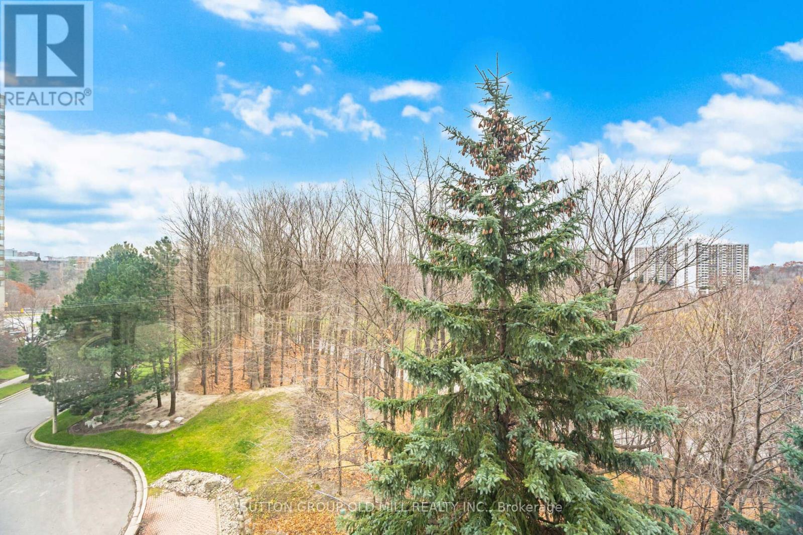 504 - 215 Wynford Drive, Toronto, Ontario  M3C 3P5 - Photo 29 - C12603692