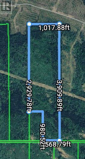 Lot 5 Con 3 Pcl 1495cc, Mattice-Val Cote, Ontario  P0L 1T0 - Photo 4 - T12603736