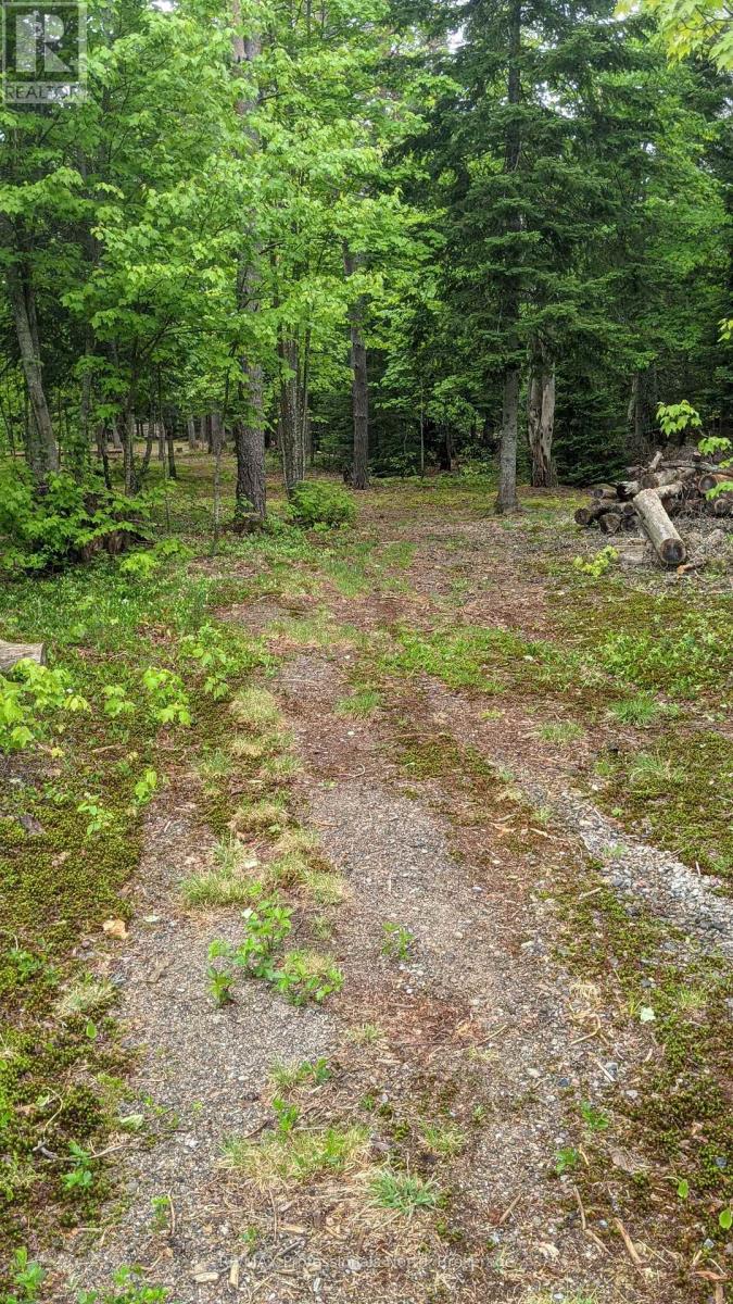 124 Cardwell Lake Road, Huntsville, Ontario P0B 1M0 - Photo 22 - X12600966