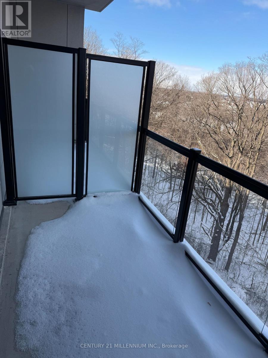 523 - 1100 Lackner Place, Kitchener, Ontario  N2A 0M1 - Photo 11 - X12600694